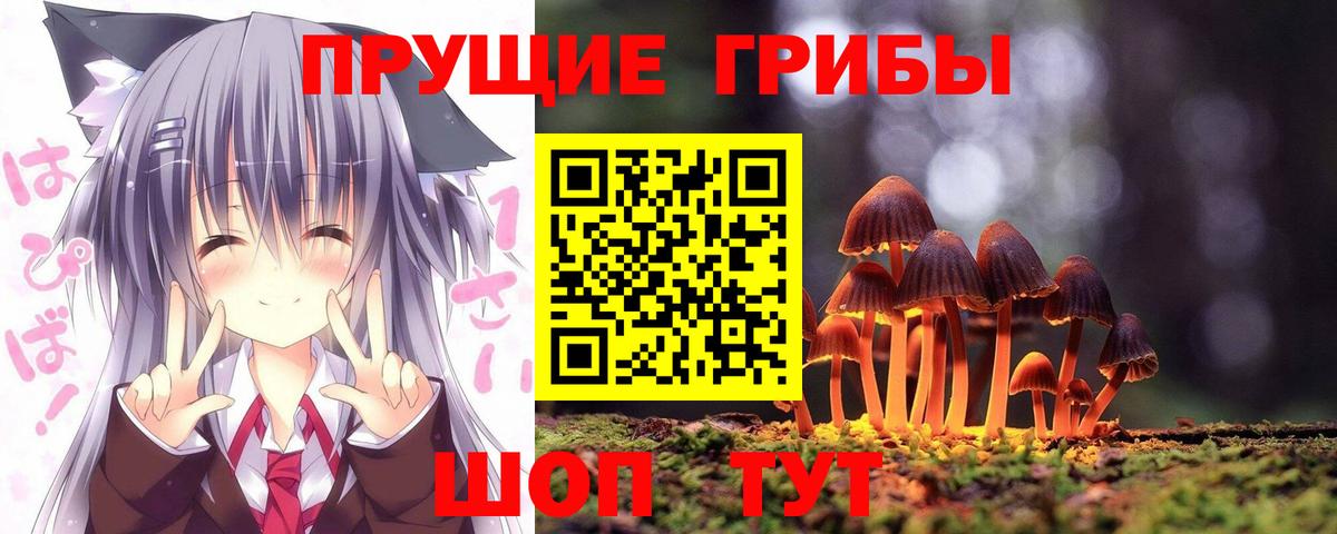 Псилоцибиновые грибы прущие грибы  Псилоцибиновые грибы Psilocybine cubensis  Вход с VPN  Тара 